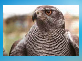 Import aus Parkscout alt